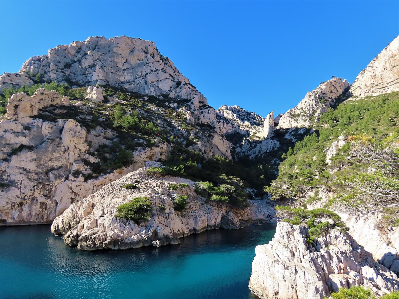 Die schmale türkisfarbene Bucht der Calanque de Sugiton zwischen weißen Kalkfelsen und Pinien